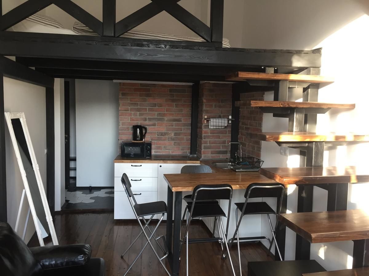 Апартаменты Brestappart Loft Dzerzhynskogo 26 Брест-10